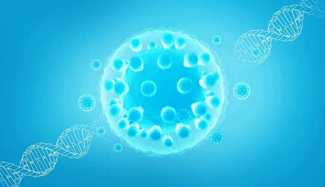 干细胞和免疫细胞在实际应用中该如何选择