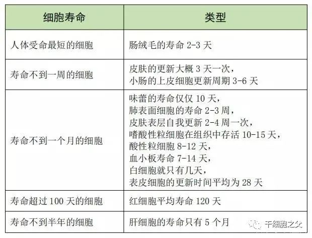 干细胞提高人体免疫力、抗衰老，人类活到120岁不是梦！