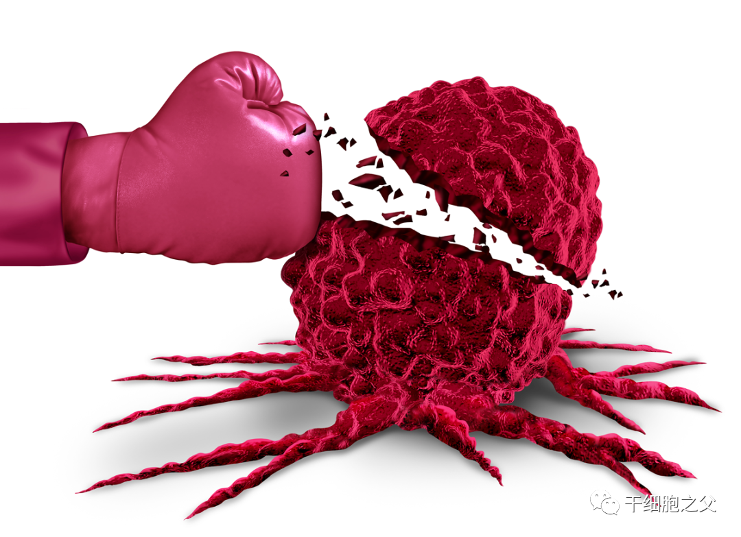 抗癌新力量：癌症免疫细胞治疗的原理