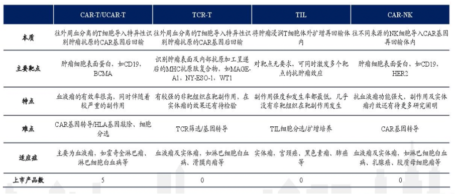 免疫细胞治疗，中国有望弯道超车