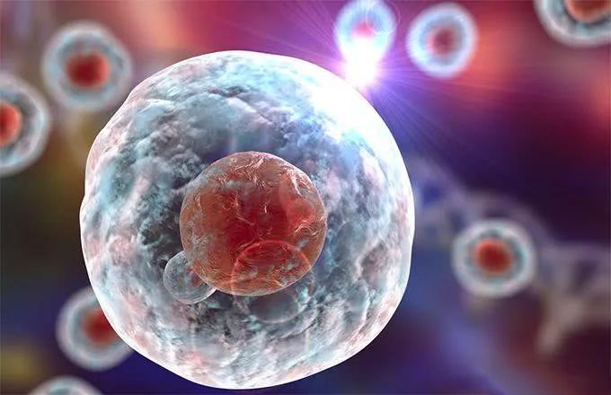 干细胞的五项作用，每一项都有它的神奇之处！