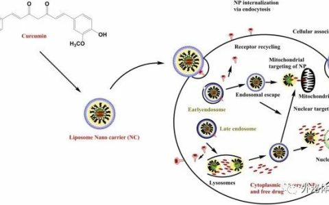 【综述】Semin Cancer Biol丨靶向炎症通路用于肿瘤治疗的外泌体纳米药物的现状和未来展望