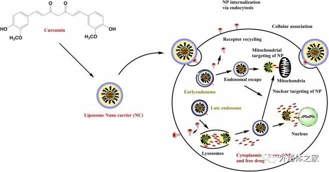 【综述】Semin Cancer Biol丨靶向炎症通路用于肿瘤治疗的外泌体纳米药物的现状和未来展望