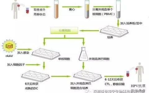 结直肠癌接受ACTL靶向性细胞免疫治疗检查流程及案例