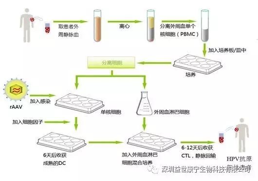 结直肠癌接受ACTL靶向性细胞免疫治疗检查流程及案例