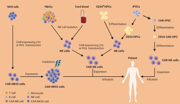 针对癌症的前沿NK细胞疗法汇总