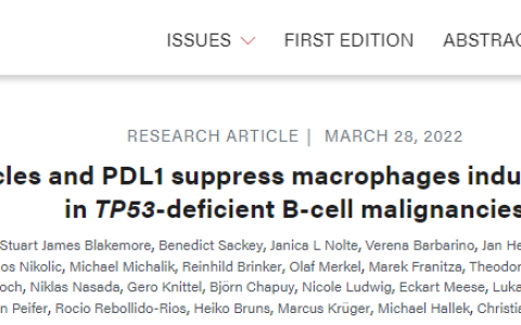 Blood：细胞外囊泡和PDL1抑制巨噬细胞导致TP53缺陷型B细胞恶性肿瘤的治疗抵抗