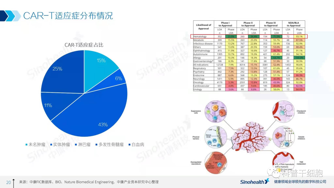 2021年中国细胞治疗行业研究报告解读