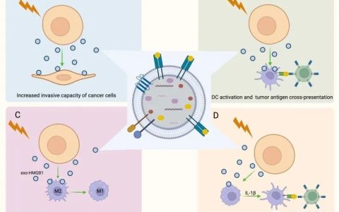 Semin Cancer Biol丨放射治疗诱导肿瘤免疫微环境的重塑
