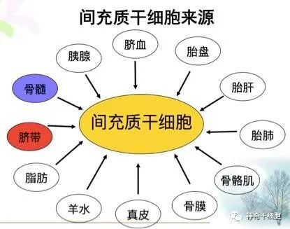 您还在纠结干细胞是否安全有效吗？