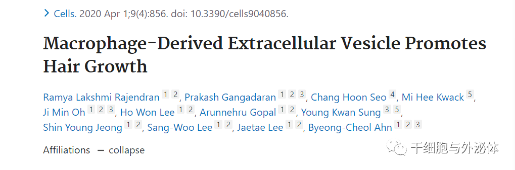 脱发新疗法 | 外泌体或是脱发的最佳非临床解决方案