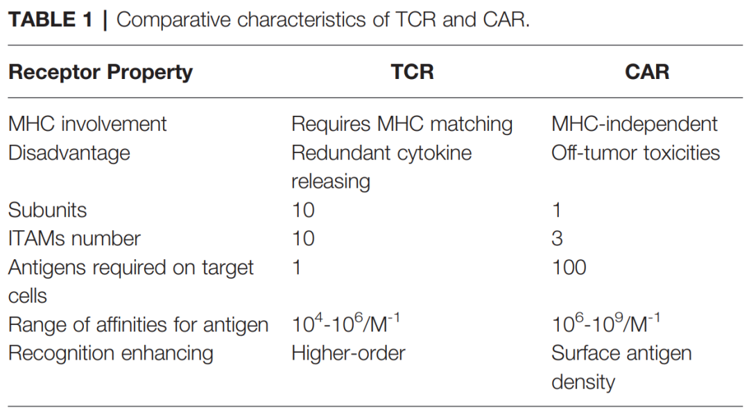 细胞治疗的前沿领域：TCR-T细胞疗法