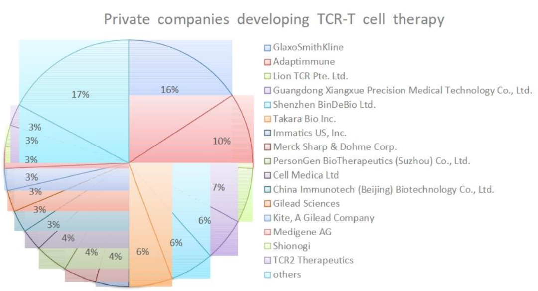 细胞治疗的前沿领域：TCR-T细胞疗法