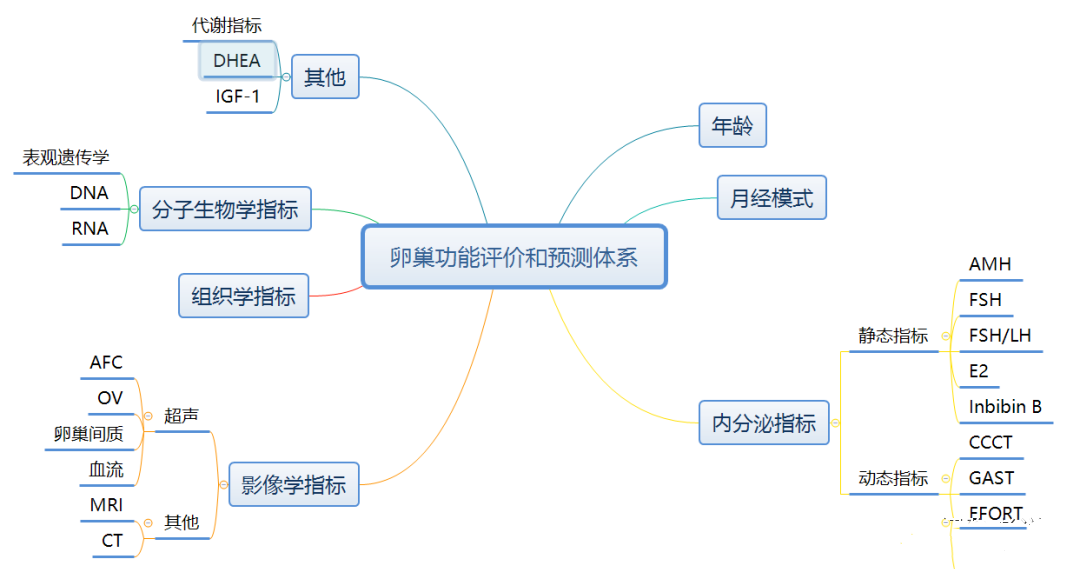 卵巢到底有何用，干细胞如何化解现代女性卵巢危机？