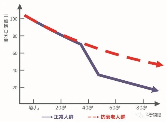 都说干细胞、免疫细胞可以抗衰老，它们在抗衰老过程中发挥的作用是什么？