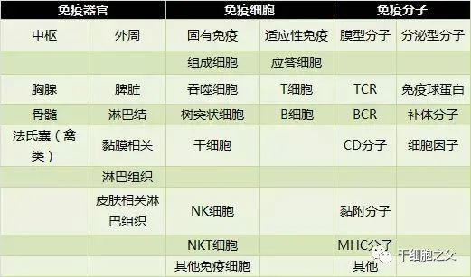 人体免疫细胞军团，是如何制敌的？