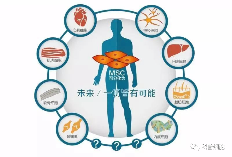 干细胞让10种重大疾病不再可怕!