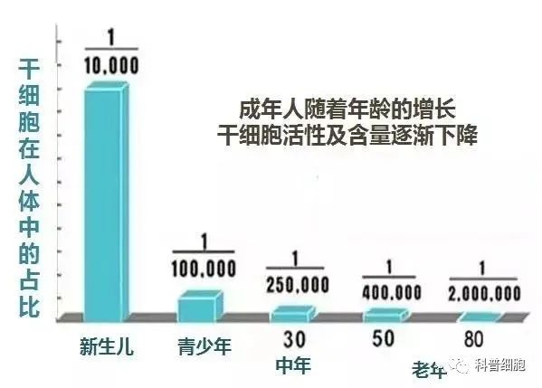 都说干细胞、免疫细胞可以抗衰老，它们在抗衰老过程中发挥的作用是什么？