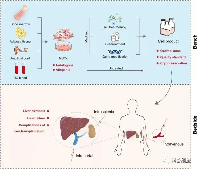 盘点 | 干细胞在疾病中的临床应用案例！