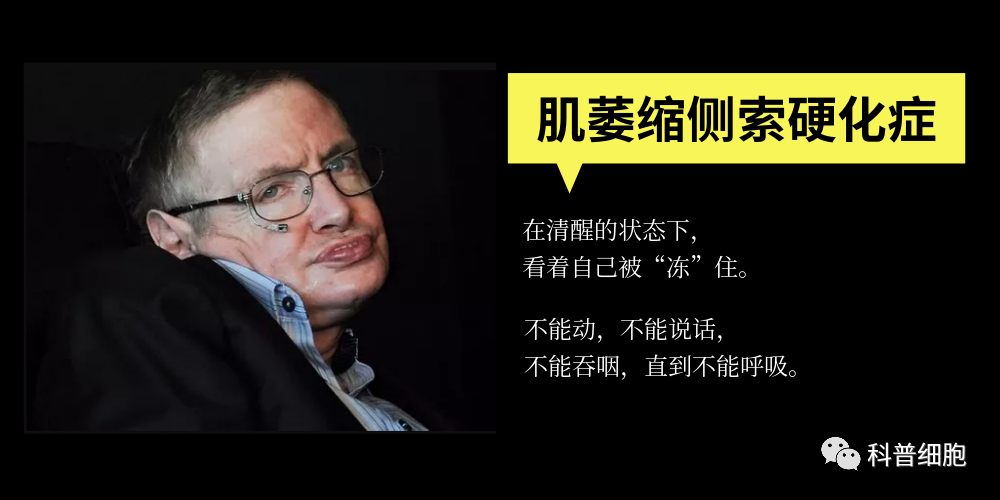 干细胞让10种重大疾病不再可怕!