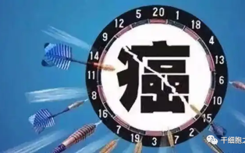 免疫治疗时代 ，探索用于癌症治疗的NK细胞策略