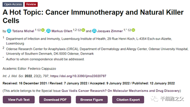 免疫治疗时代 ，探索用于癌症治疗的NK细胞策略
