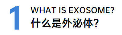 科普日谈丨皮损修复的新宠-外泌体