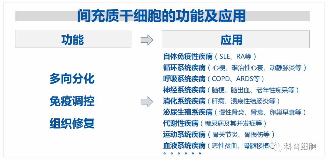 决定干细胞疗效的因素有哪几点？