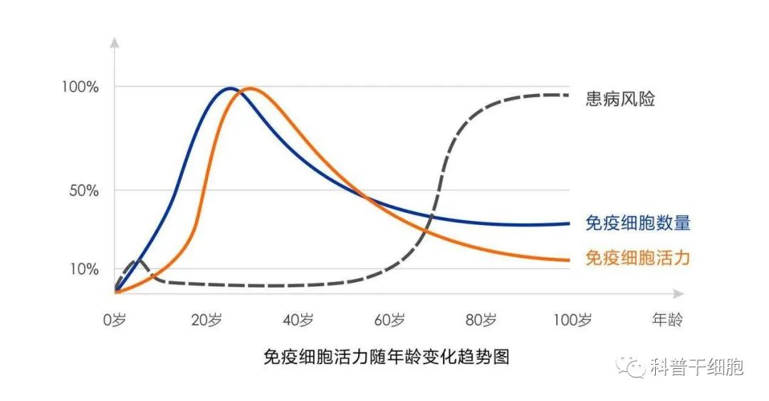 免疫细胞的十问十答，强烈建议收藏！
