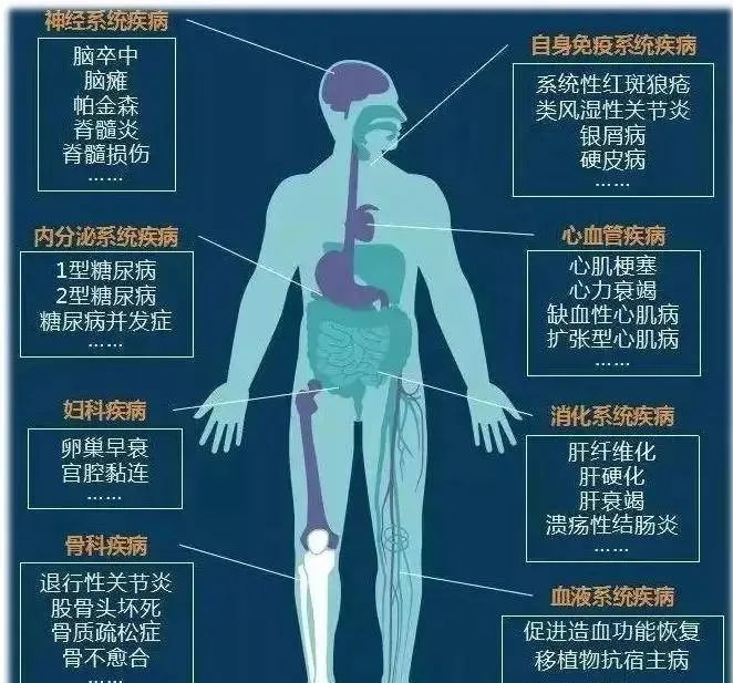 干细胞究竟是干什么的？盘点干细胞可以治疗的10大疾病及其案例！