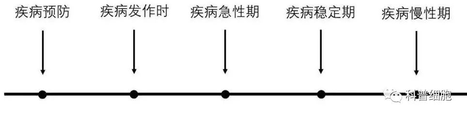 决定干细胞疗效的因素有哪几点？