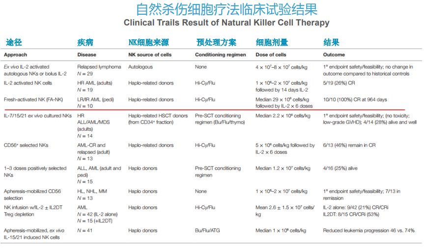 人体免疫系统中的NK细胞,防癌、抵御病毒、抗衰老一肩挑