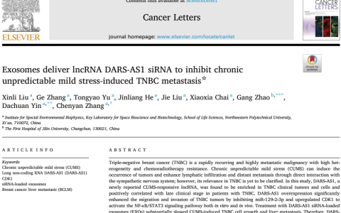 Cancer Lett |西北工业大学尹大川团队发现外泌体递送DARS-AS1 siRNA可用于抑制慢性应激诱导的乳腺癌侵袭转移