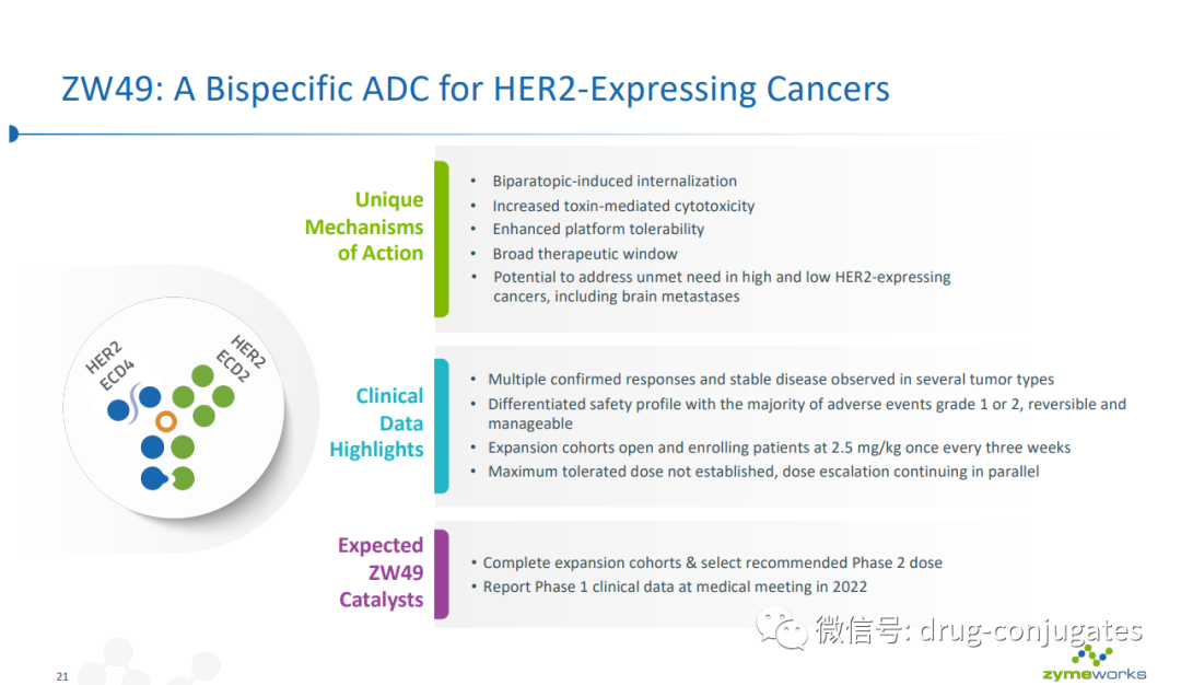 30家外资ADC研发管线梳理