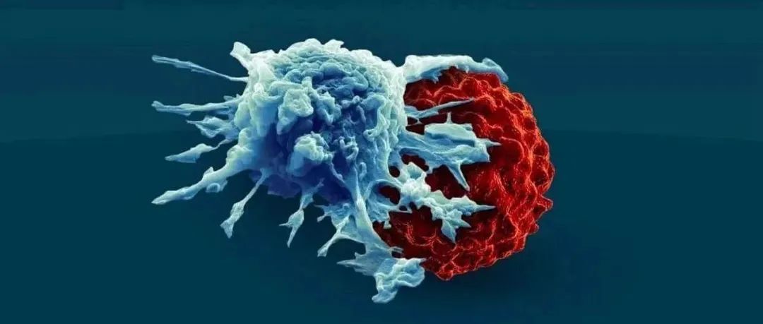CAR-T疗法进军实体瘤！这10大靶点涉及超10种癌症，2022年有望迎来新突破