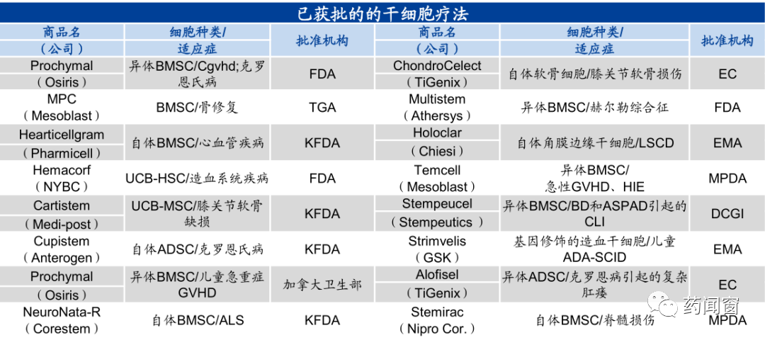 细胞疗法制胜未来