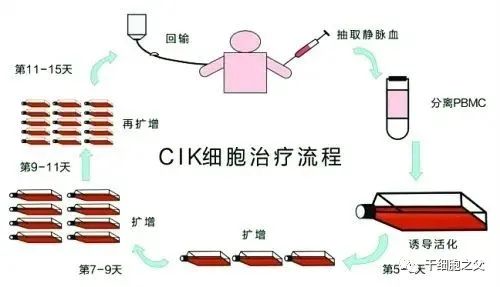 同样是免疫细胞，CIK细胞和NK细胞有什么区别？