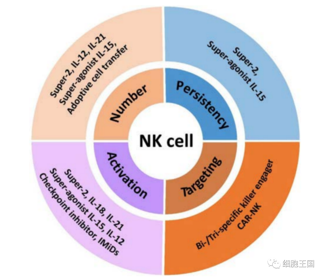 抗癌免疫细胞疗法：DC、CIK、NK、TIL、γδT... 有何不同？