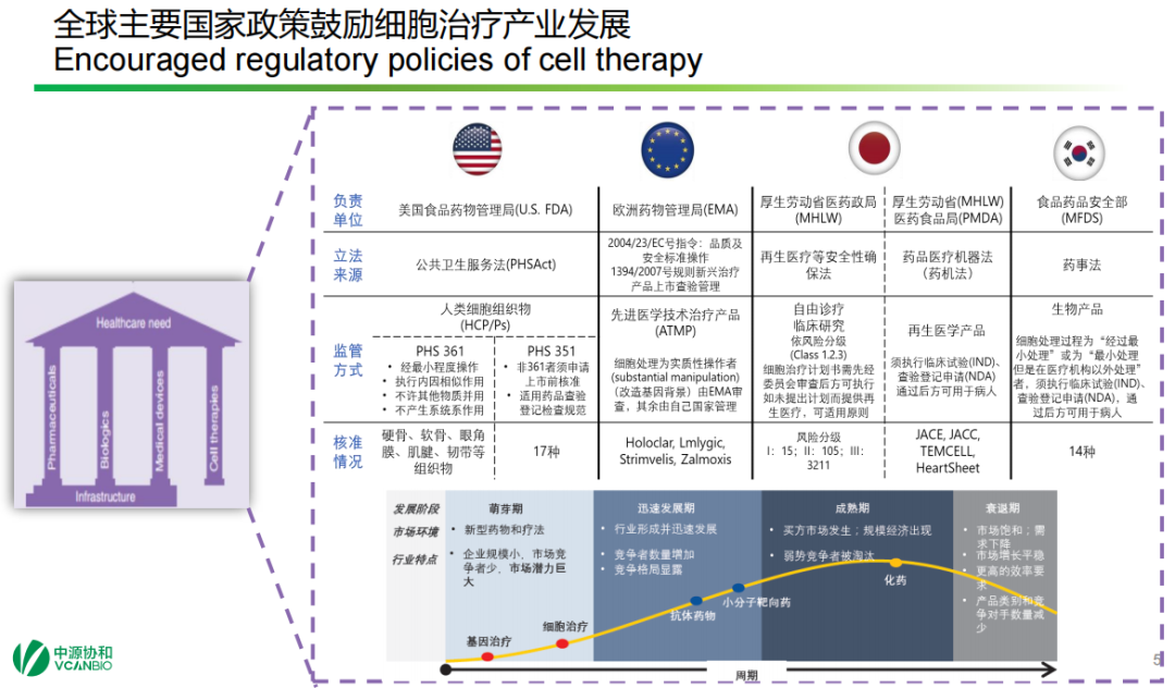 张宇博士：细胞治疗产业链的新发展