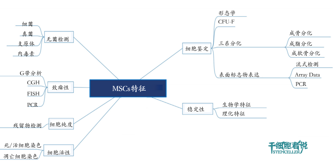 临床级间充质干细胞的技术壁垒：工艺制造