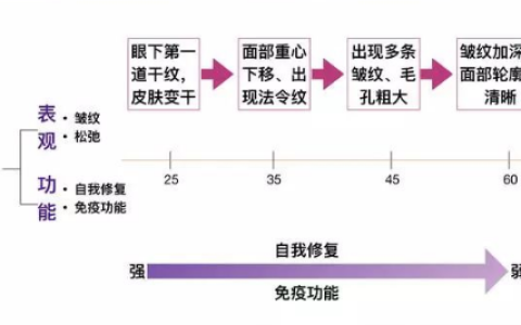 带你正确、理性地认识干细胞在美容及抗衰老领域的应用价值