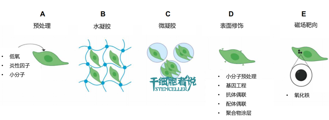 临床级间充质干细胞开发的技术壁垒：给药方式