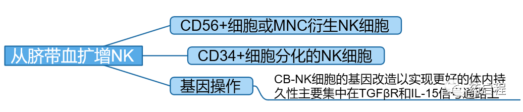 综述介绍：NK细胞生产的进展