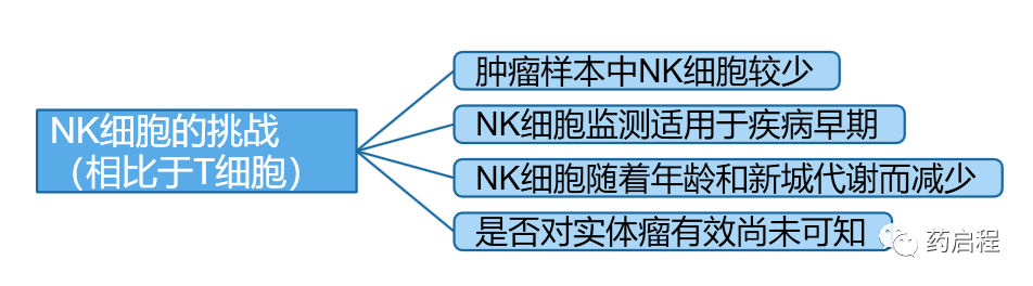 综述介绍：NK细胞生产的进展