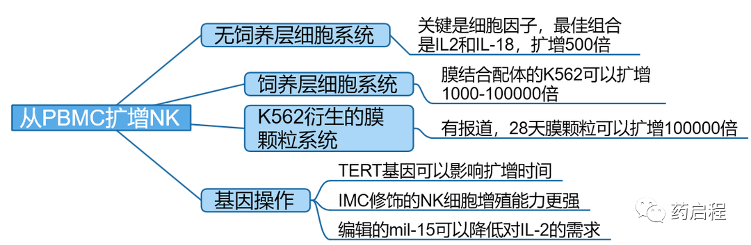 综述介绍：NK细胞生产的进展