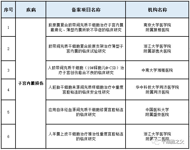 CCTV报道|干细胞修复子宫内膜，帮助她们重获生育能力！