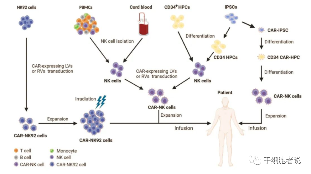 免疫细胞治疗“新力量”：NK细胞疗法