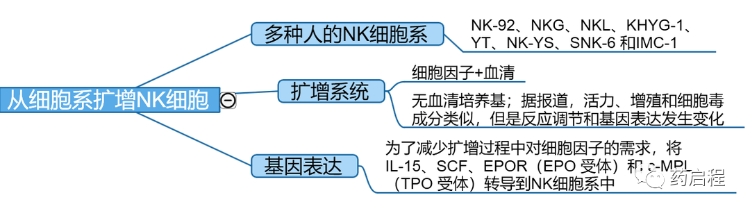 综述介绍：NK细胞生产的进展