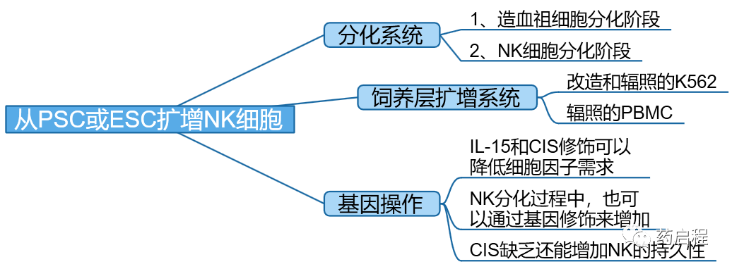 综述介绍：NK细胞生产的进展