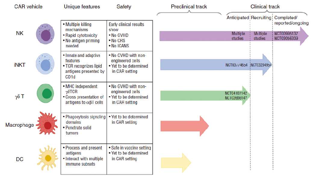 一文带你认清CAR-T、CAR-NK和CAR-M